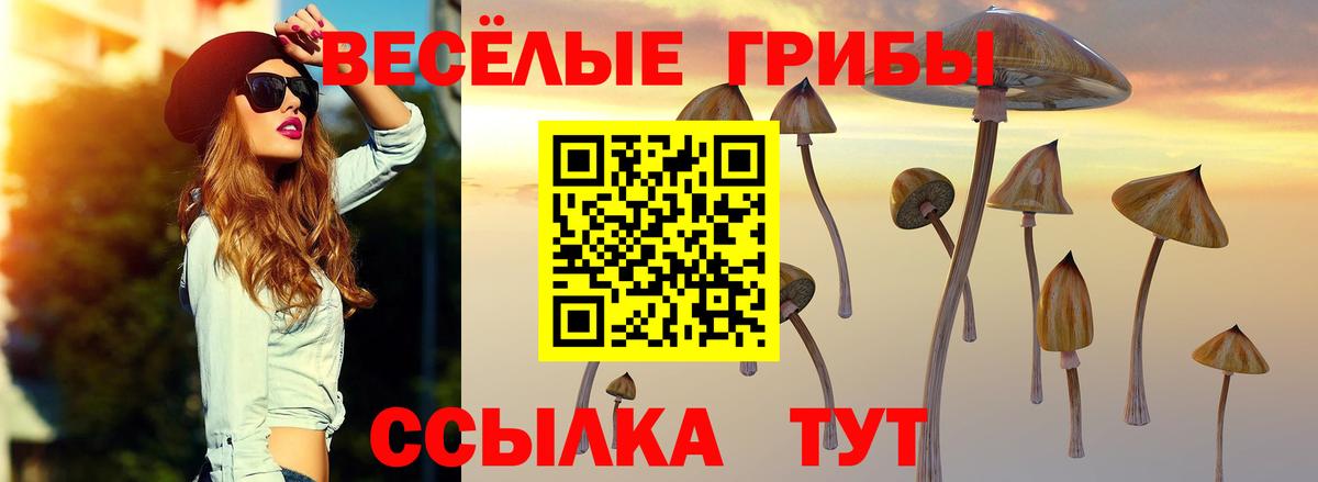 Полевской  Псилоцибиновые грибы MAGIC MUSHROOMS  даркнет сайт  Вход с VPN  Галлюциногенные грибы мухоморы 
